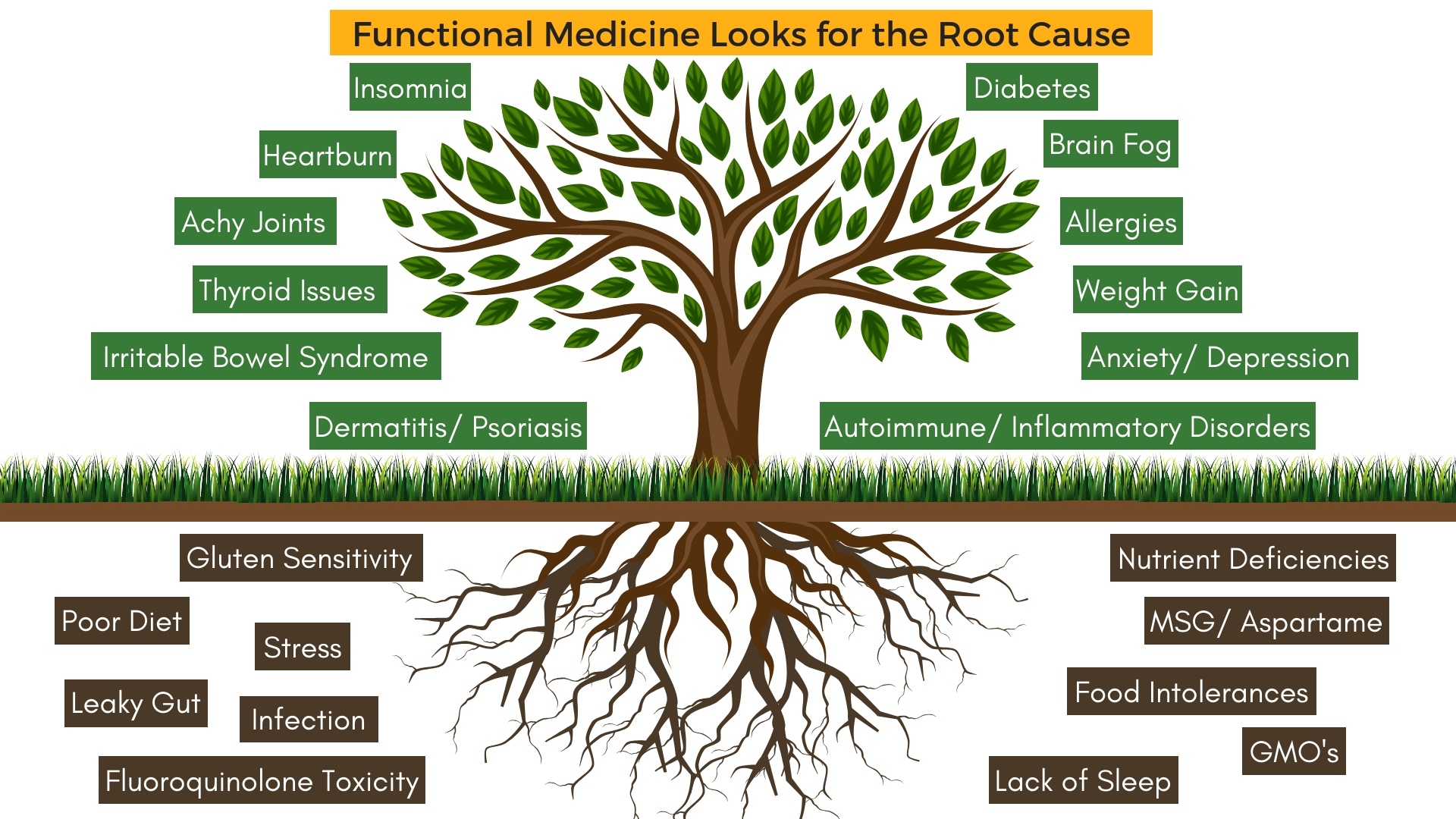 Functional Medicine Services - 360JasmineAcupuncture